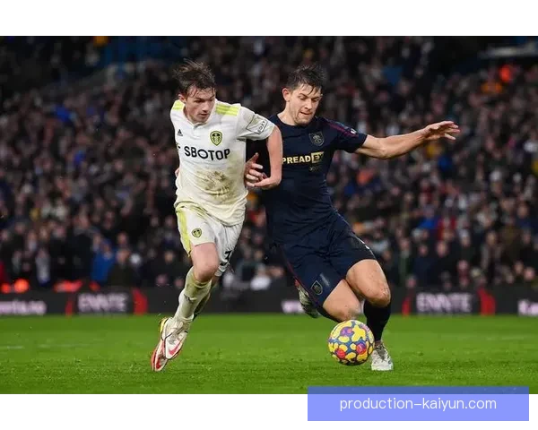 利兹联俱乐部辉煌历程与未来发展战略全面解析